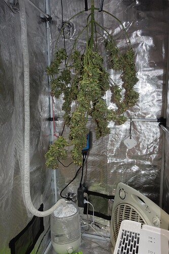 Growreport Bild 1