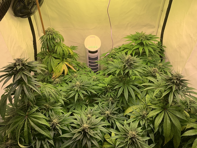 Growreport Bild 1