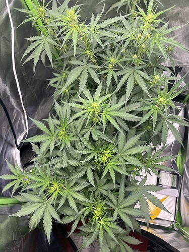 Growreport Bild 23