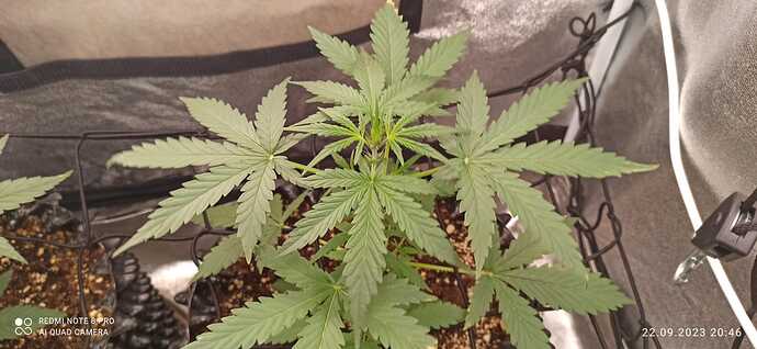 IMG-20230922-WA0026