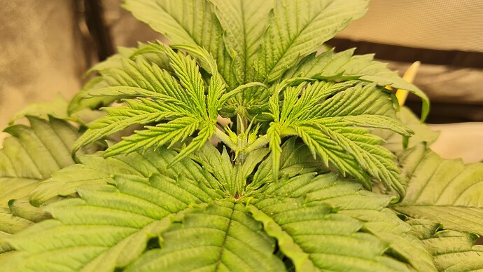 Growreport Bild 1