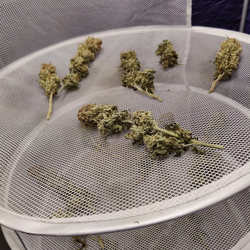 Growreport Bild 50