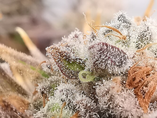 Growreport Bild 15