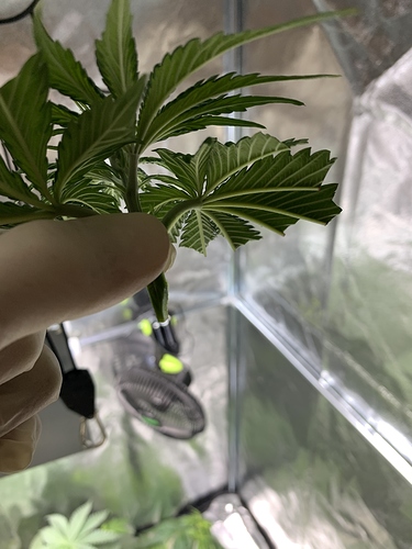 Growreport Bild 14