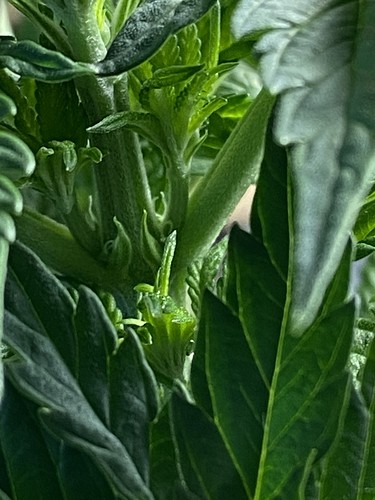 Growreport Bild 12