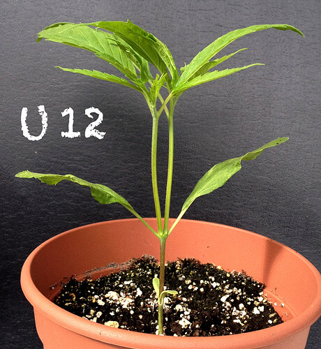 Growreport Bild 17