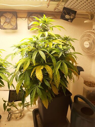 Growreport Bild 4
