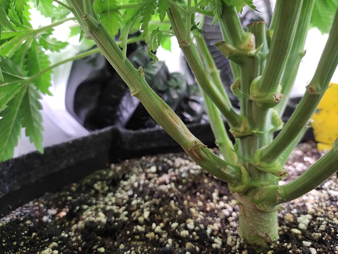 Growreport Bild 10