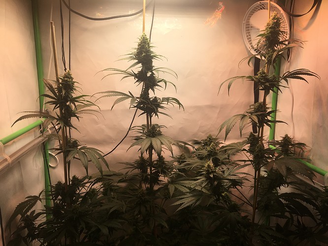 Growreport Bild 10