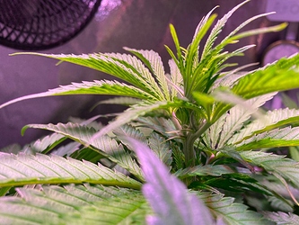 Growreport Bild 18
