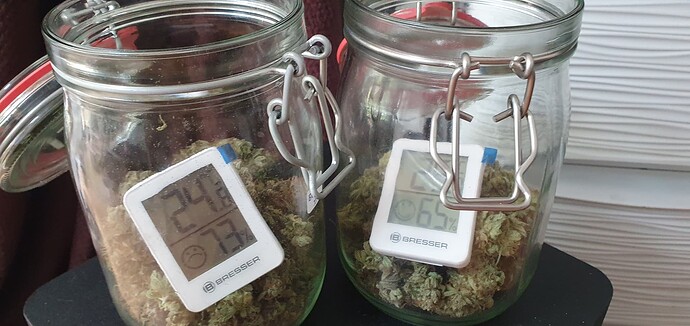 Growreport Bild 9