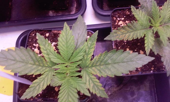 Growreport Bild 10