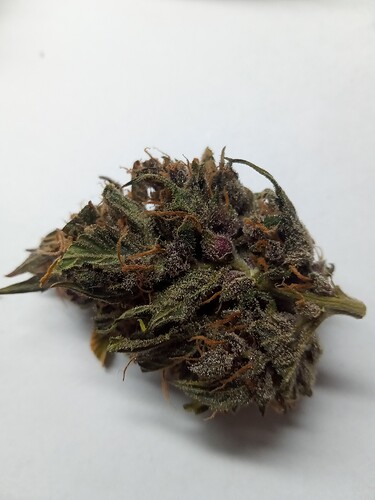Growreport Bild 5