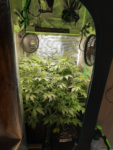 Growreport Bild 11