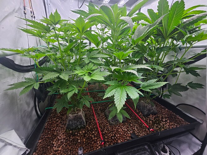 Growreport Bild 2