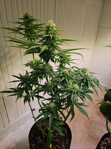 Growreport Bild 15