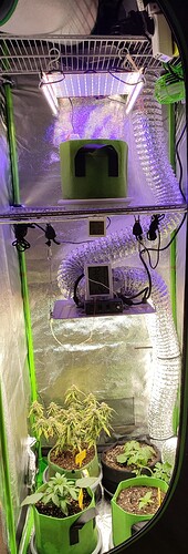 Growreport Bild 7