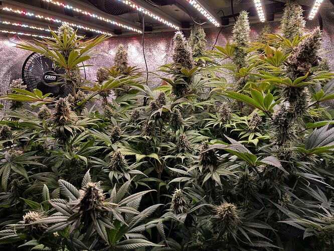 Growreport Bild 9