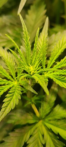 Growreport Bild 5