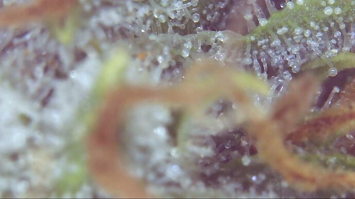 Growreport Bild 18