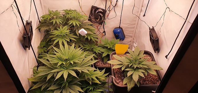 Growreport Bild 1