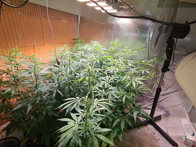 Growreport Bild 14