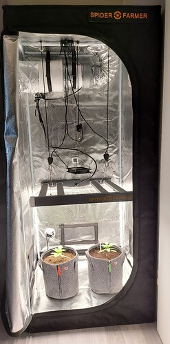 Growreport Bild 5