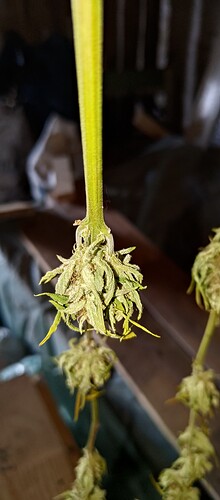 P_20230813_154443