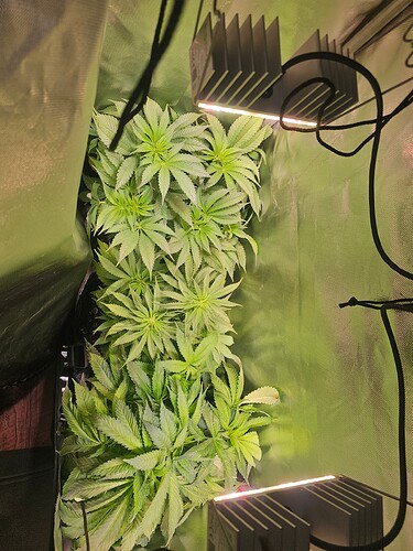 Growreport Bild 2