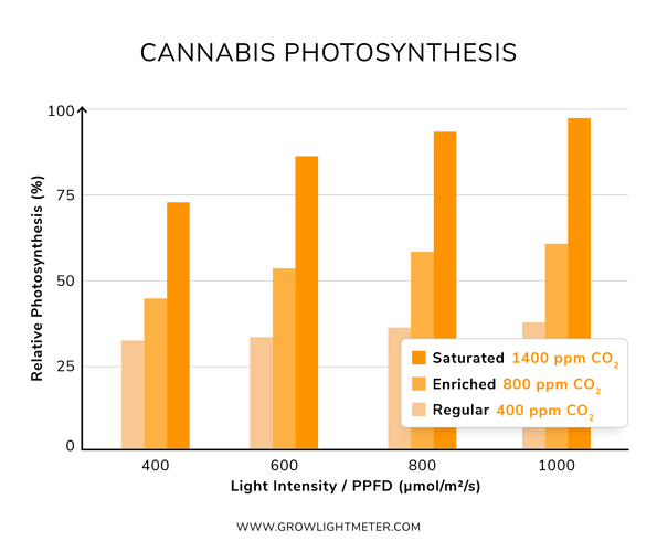 cannabis-co2-ppfd