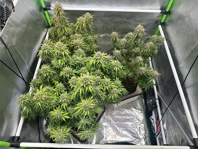 Growreport Bild 1