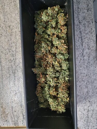 Growreport Bild 17