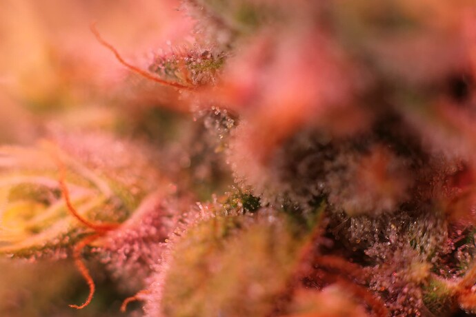 Growreport Bild 18