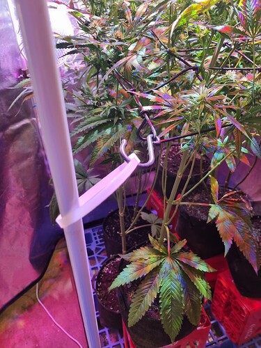 Growreport Bild 8