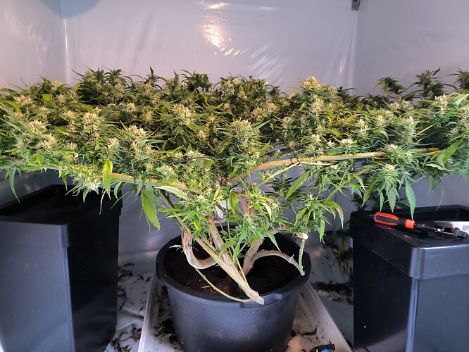 Growreport Bild 14