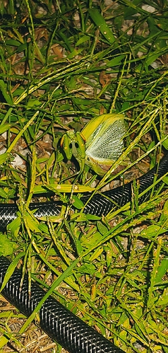 20180910_001752