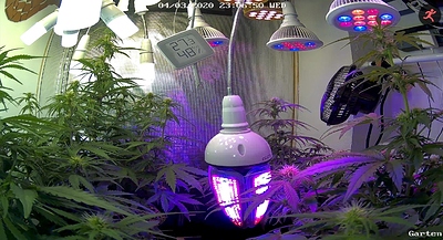 Growreport Bild 5