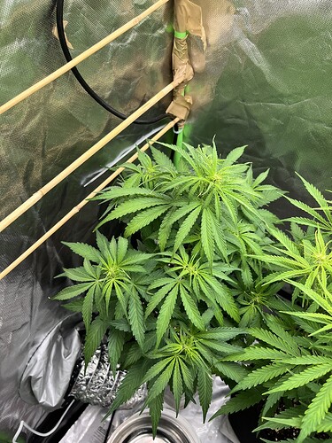 Growreport Bild 4