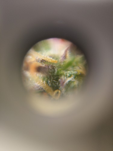 IMAG6319