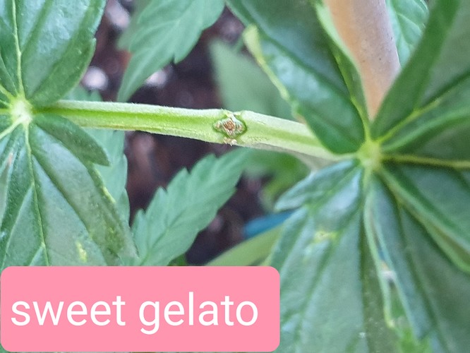 Growreport Bild 11