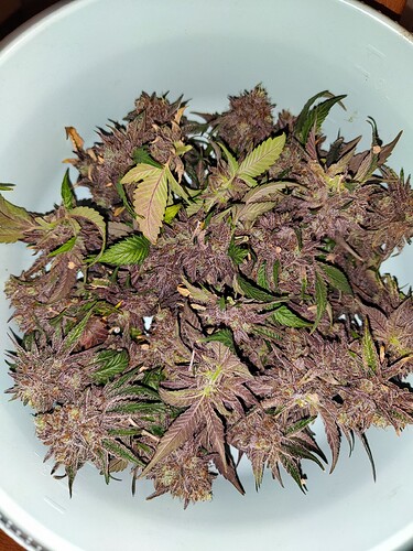 threema-20240111-011810229