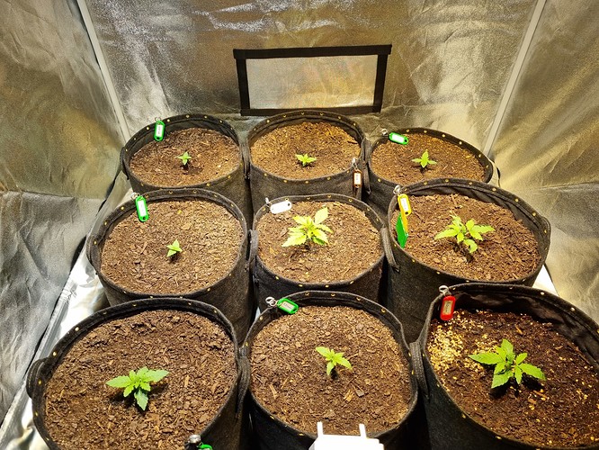Growreport Bild 12