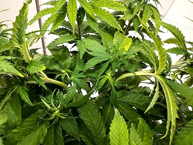 Growreport Bild 10
