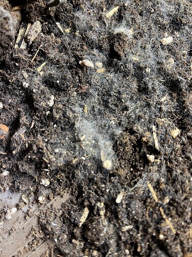Growreport Bild 2