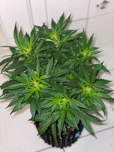 Growreport Bild 12