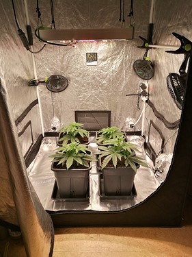 Growreport Bild 12