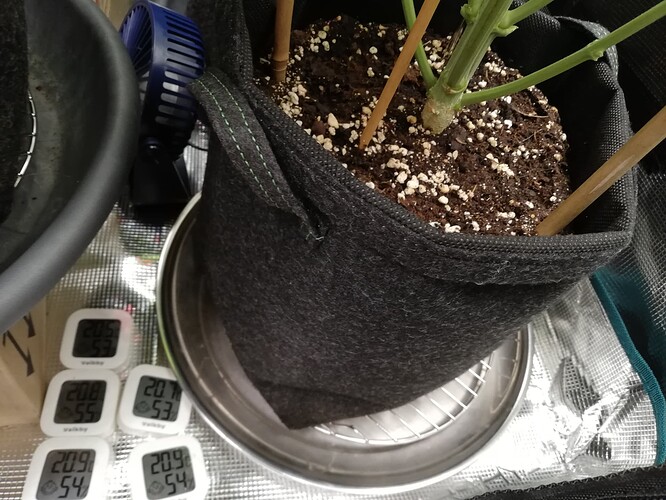 Growreport Bild 59