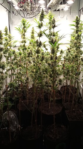 Growreport Bild 10
