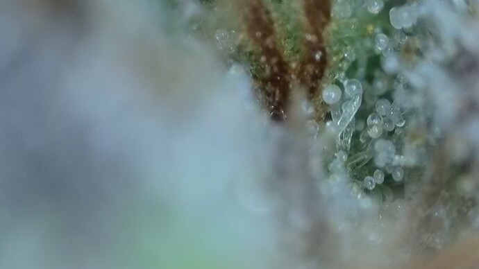 2022-06-25-032715558