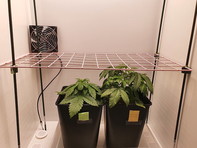 Growreport Bild 2